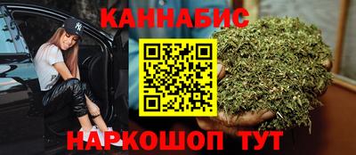 крисы Будённовск
