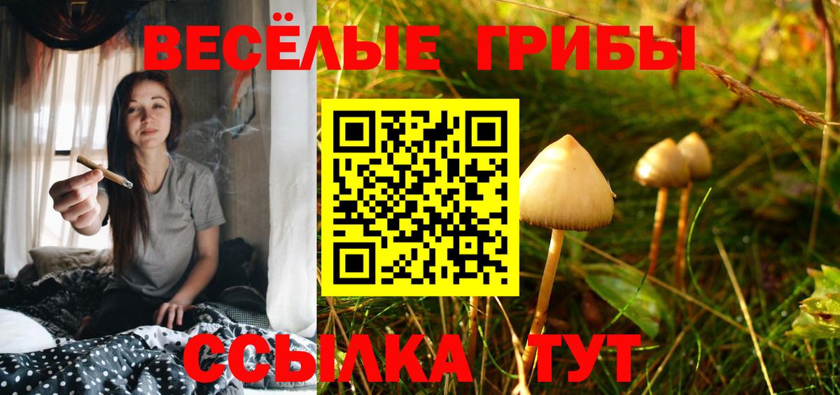 Псилоцибиновые грибы Magic Shrooms  Вход с VPN  Майский 